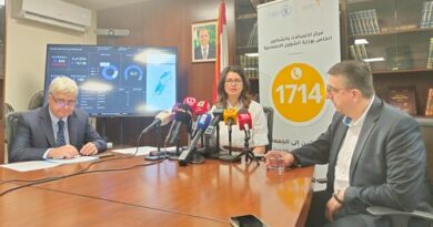 ILO and partners take immediate shock-response measures to support persons with disabilities in Lebanon